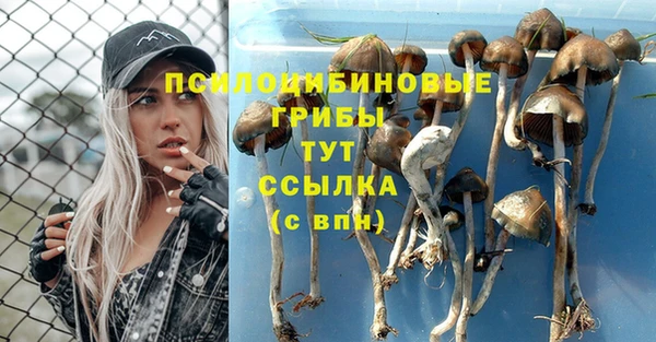 мяу мяу кристалл Михайлов
