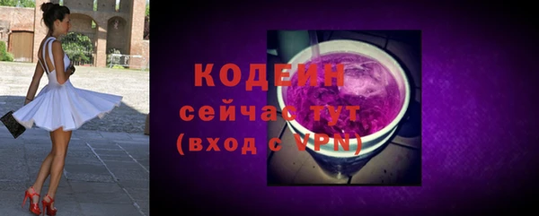 шишки Михайловск