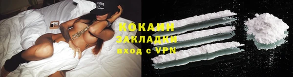 шишки Михайловск