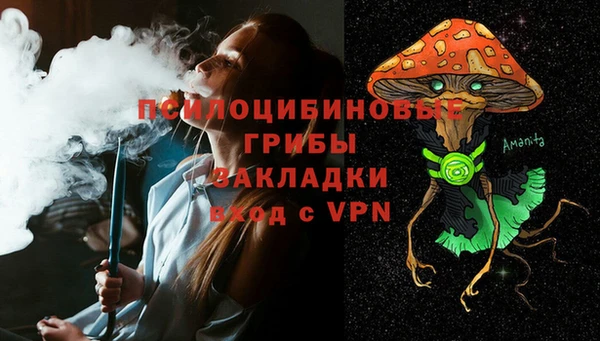 шишки Михайловск