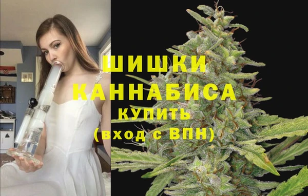 шишки Михайловск