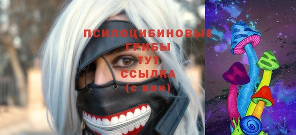 шишки Михайловск