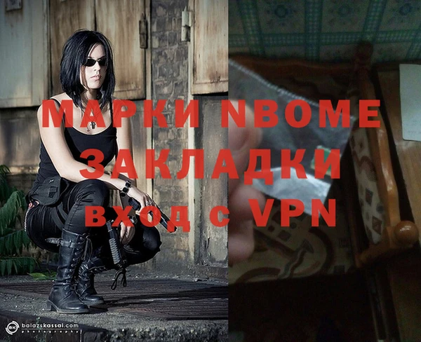 шишки Михайловск