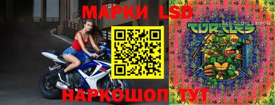 прущие крисы Апшеронск