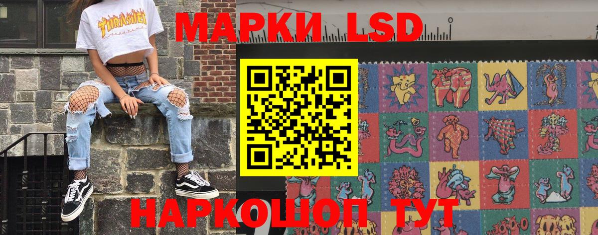 МЕФ Архангельск