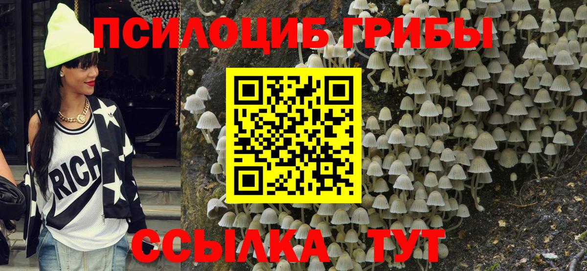 Псилоцибиновые грибы Cubensis  Архангельск 